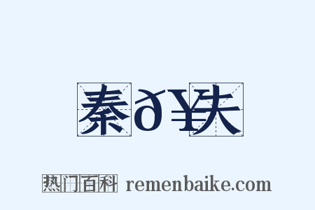 秦𥳑夫是什么意思的图片